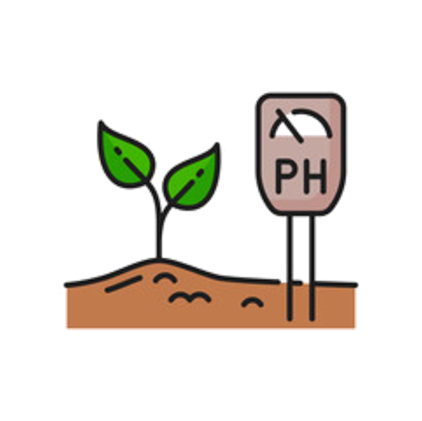 Soil testing point